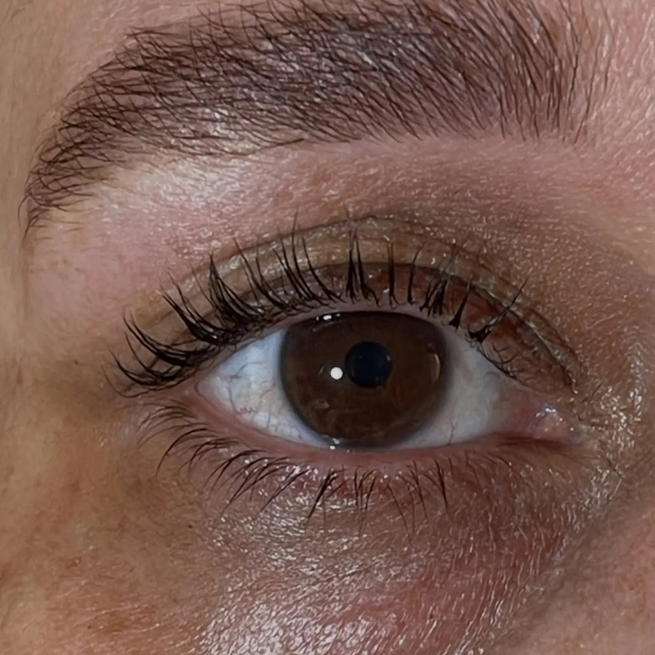 brow and lash treatment result