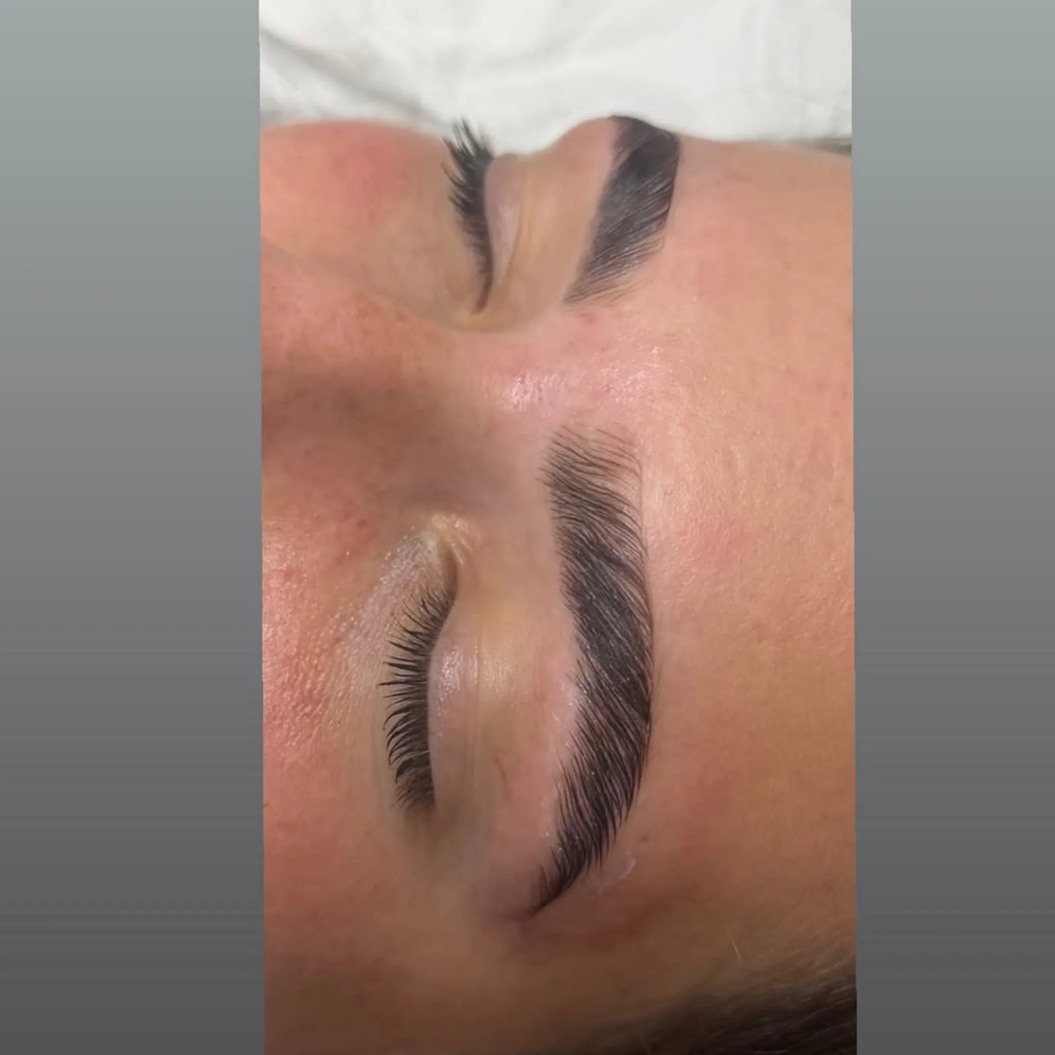 tinted laminated eyebrows